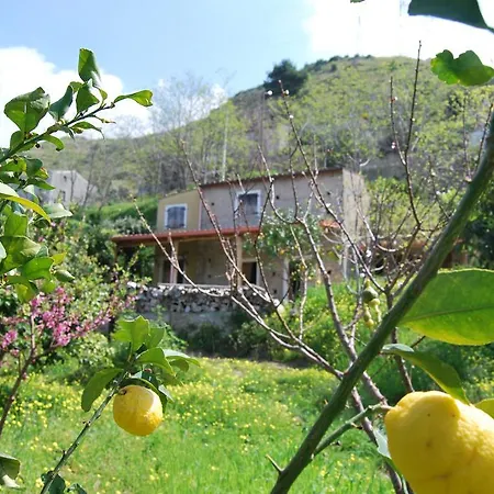 Al Melograno Frühstückspension Belmonte Calabro