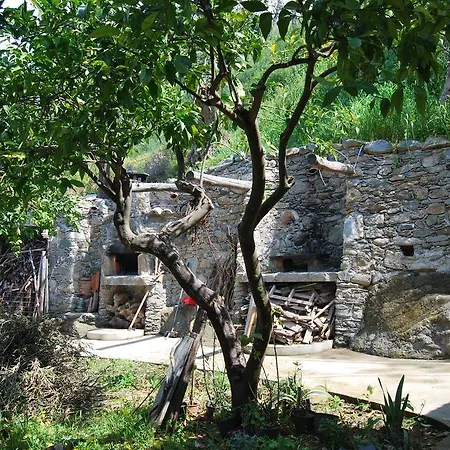 Bed & Breakfast Al Melograno Belmonte Calabro