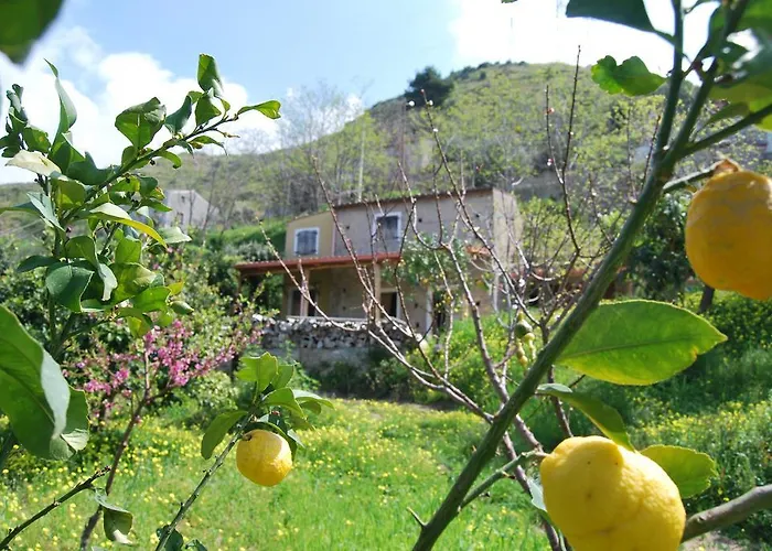 Al Melograno Alojamento de Acomodação e Pequeno-almoço Belmonte Calabro